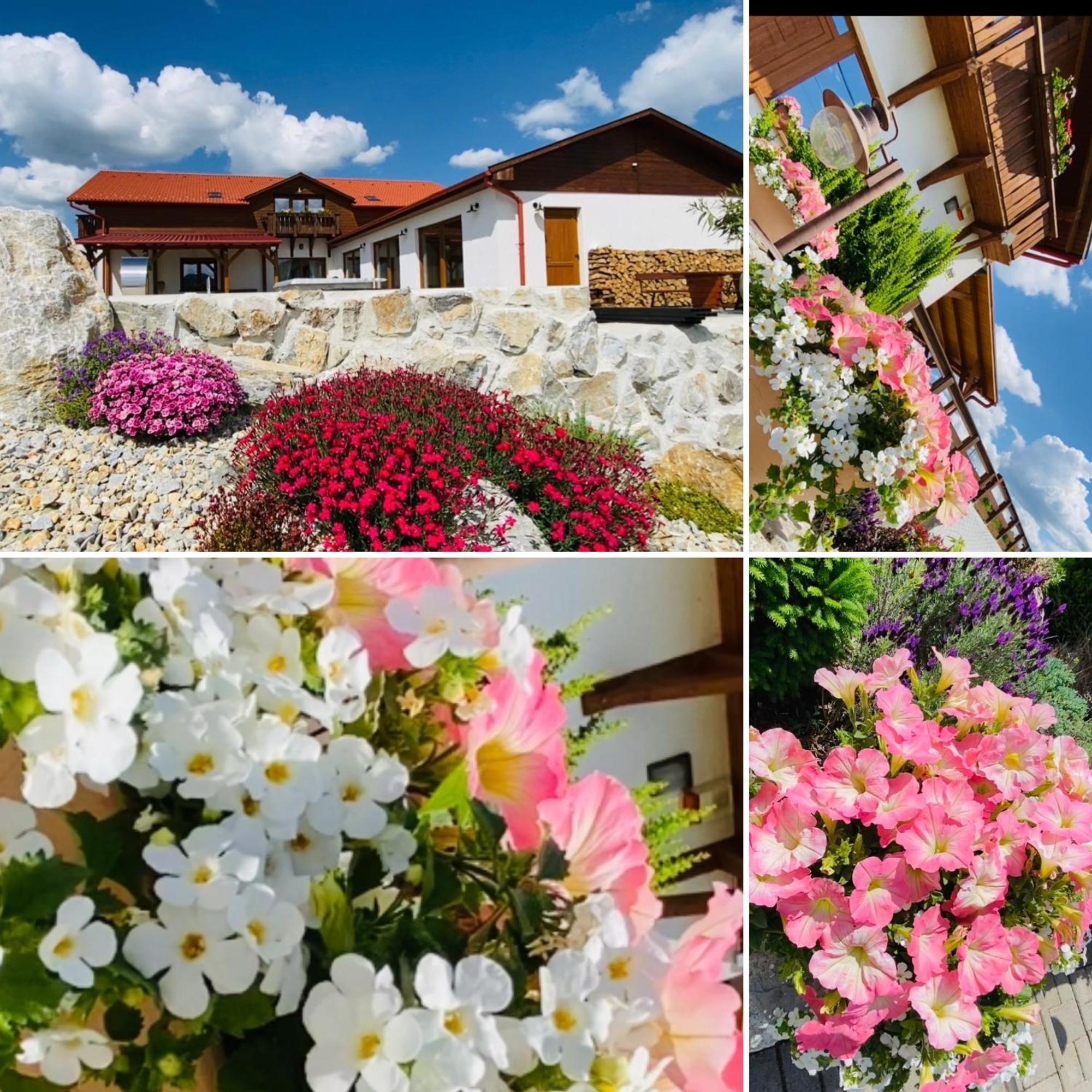 Hotel Gold Horse Vendeghaz Szilvásvárad Exteriér fotografie