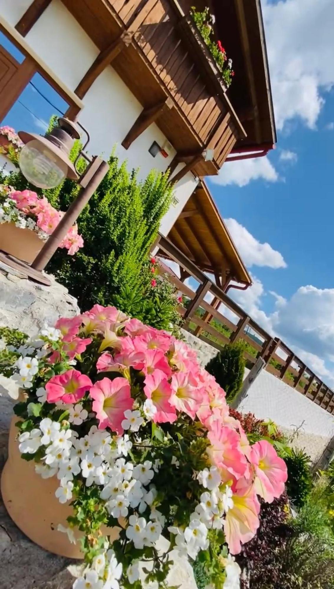 Hotel Gold Horse Vendeghaz Szilvásvárad Exteriér fotografie