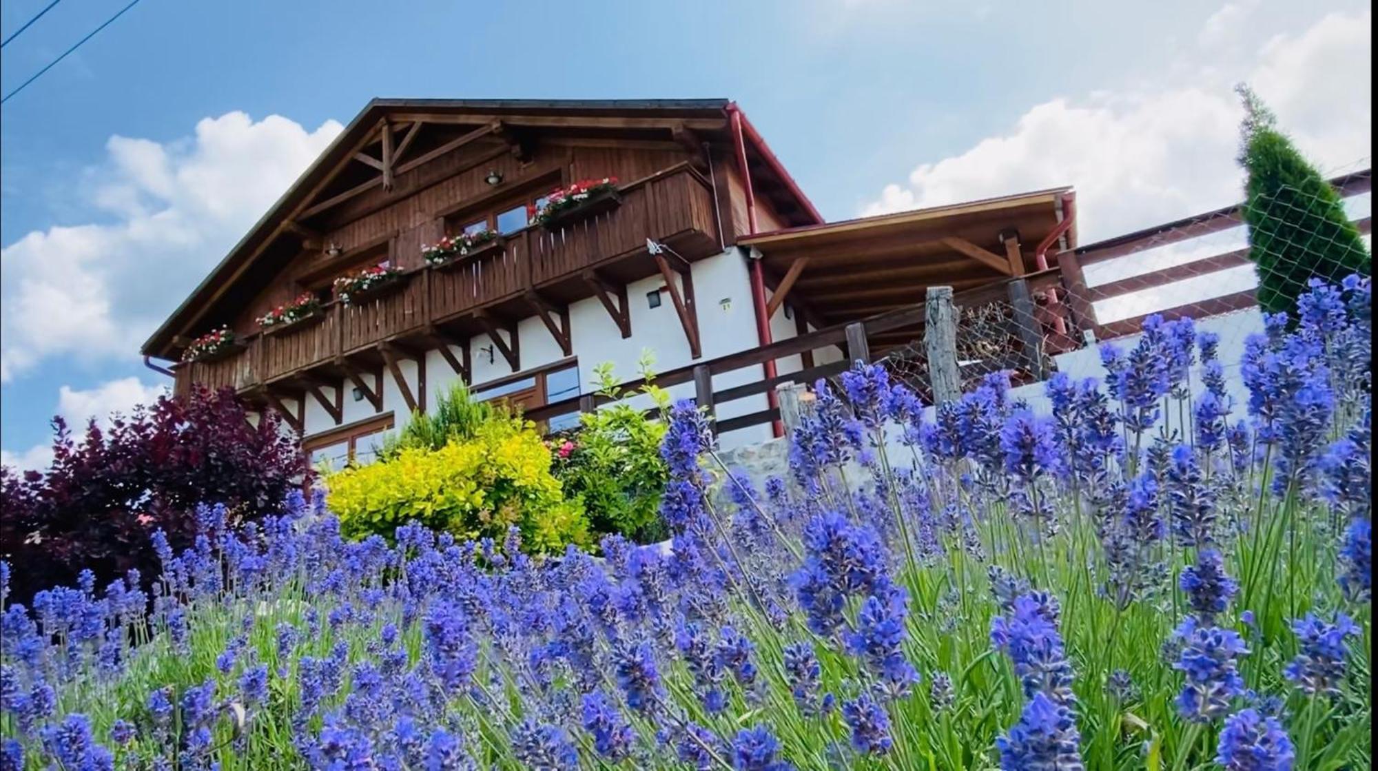 Hotel Gold Horse Vendeghaz Szilvásvárad Exteriér fotografie